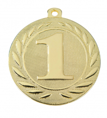 Kovová medaile 1.místo