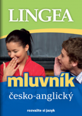 Anglický jazyk Mluvník česko-anglický