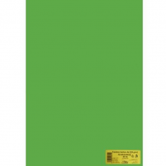 Kreslicí karton A2/225g/20ks světle zelený