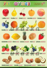Přírodověda Ovoce - obraz XL