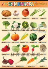 Přírodověda Zelenina - obraz XL