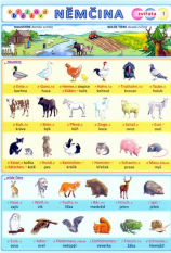 Německý jazyk Obrázková němčina 1 - tabulka  zvířata A5
