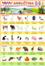 Anglický jazyk Obrázková angličtina 1 zvířata - tabulka A5