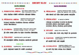 1.-5.ročník Český jazyk Druhy slov nástěnná tabule