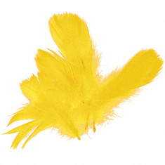 Peříčka prachová 10g žluté