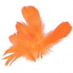 Peříčka prachová 10g oranžová