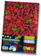 Papír na scrapbooking A4 115g/m2 5ks Transparent