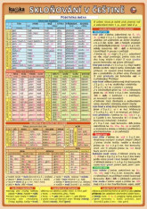 Český jazyk Skloňování v češtině - tabulka A5