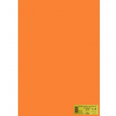 Kreslicí karton A1/225g/20ks oranžový