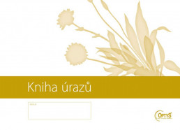 Kniha úrazů a poranění