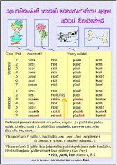 Český jazyk Skloňování rodu středního, ženského Tabulka A4