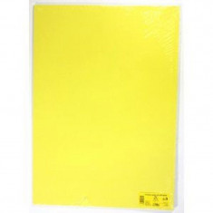 Kreslicí karton A2/225g/20ks žlutý