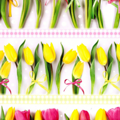 Balicí dárkový papír arch 70x100cm tulipány