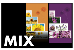 Fotoalbum Calyx mix