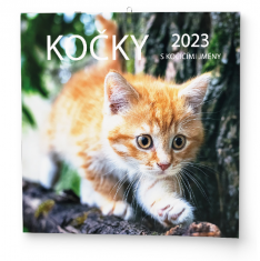 Kalendář nástěnný 2023 Kočky