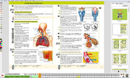 8.ročník Přírodopis Biologie člověka MIUč