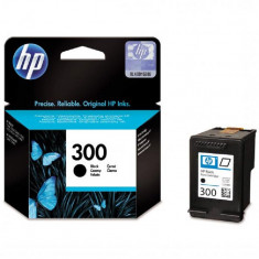 Cartridge inkoustové Hewlett-Packard HP 300 CC640EE černá