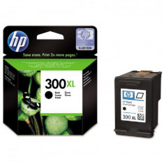 Cartridge inkoustové Hewlett-Packard HP 300XL CC641EE černá