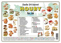 Přírodověda Sada 24 karet houby A7 10x7cm