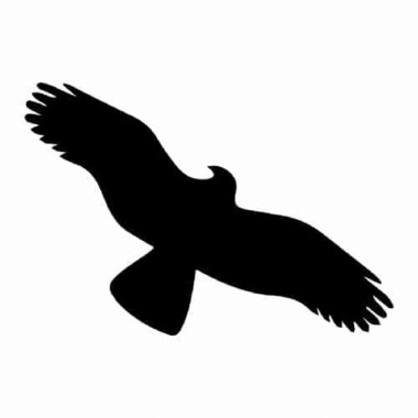 Samolepka - Pták černý