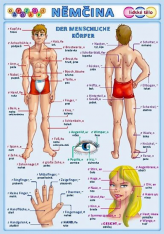 Německý jazyk Obrázková němčina 3 - tabulka lidské tělo A5