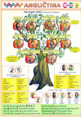 Anglický jazyk Obrázková angličtina 6 rodina - tabulka A5
