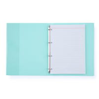 Karis blok A4 PVC PASTELINi zelený