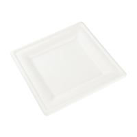 Bio talíř 20x20cm 50ks