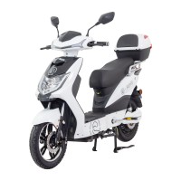 Elektroskútr RACCEWAY® E-FICHTL®, lithiová edice s baterií 30Ah