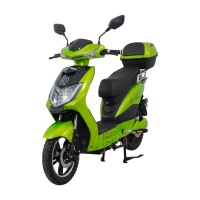 Elektroskútr RACCEWAY® E-FICHTL®, lithiová edice s baterií 30Ah