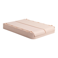 Skládací úložný box Exacompta Smart Case Midi lososový