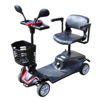 Elektrický čtyřkolový vozík RACCEWAY® SOLID, vínový
