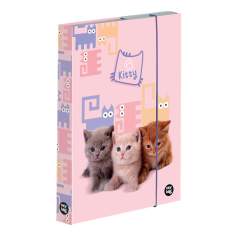 Box na sešity A5 mazlíčci
