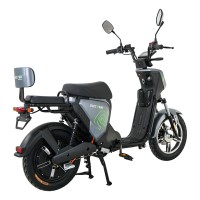 Elektroskútr RACCEWAY® PAŘEZ 25, bez ŘP, šedý
