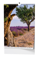 Nástěnný kalendář 2026 Provence