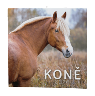 Nástěnný kalendář 2026 Koně