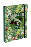 Box na sešity A4 Baagl Dinosaurs