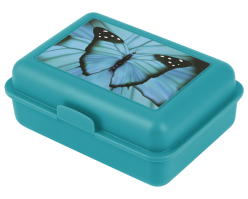 Box na svačinu Baagl Butterfly