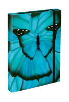 Box na sešity A4 Baagl Butterfly