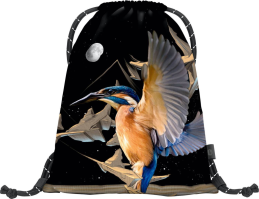 Sáček na obuv Baagl eARTh Kingfisher by Caer8th