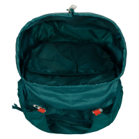 Batoh Tracker Baagl Verde