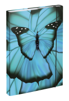 Školní set 5dílný Baagl Ergo Butterfly II