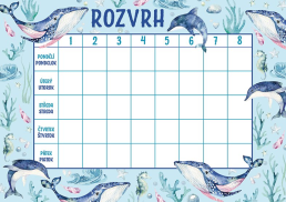 Rozvrh hodin A5 Oceán
