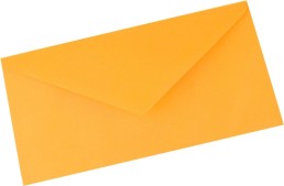 Barevná obálka DL světle oranžová