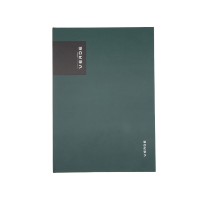 Záznamní kniha A4 96ls Verde zelená