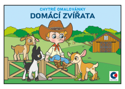 Omalovánky A5 Domací zvířata