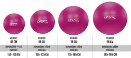 Gymnastický míč LIFEFIT® ANTI-BURST 55 cm, bordó