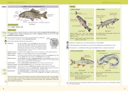 7.ročník Přírodopis Strunatci 1.díl