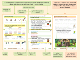 3.ročník Český jazyk Pracovní sešit 2.díl s Rózinkou barevný