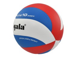 Volejbalový míč GALA Pro Line 10 - BV 5581 S
